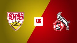 VfB Stuttgart Vs FC Cologne