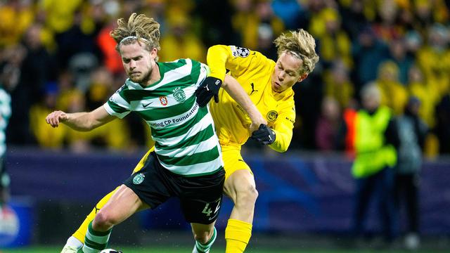Prediksi Sporting CP vs Bodo/Glimt di Liga Champions: Misi Berat Tuan Rumah Kejar Ketertinggalan